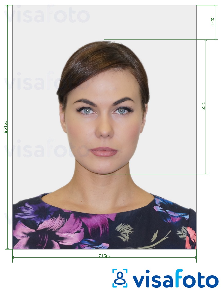 Ejemplo de foto para Pasaporte de Irlanda en línea (715x951 px) con la especificación del tamaño exacto