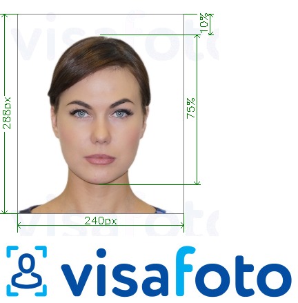Ejemplo de resultado: una foto correcta de la visa o pasaporte que usted recibirá